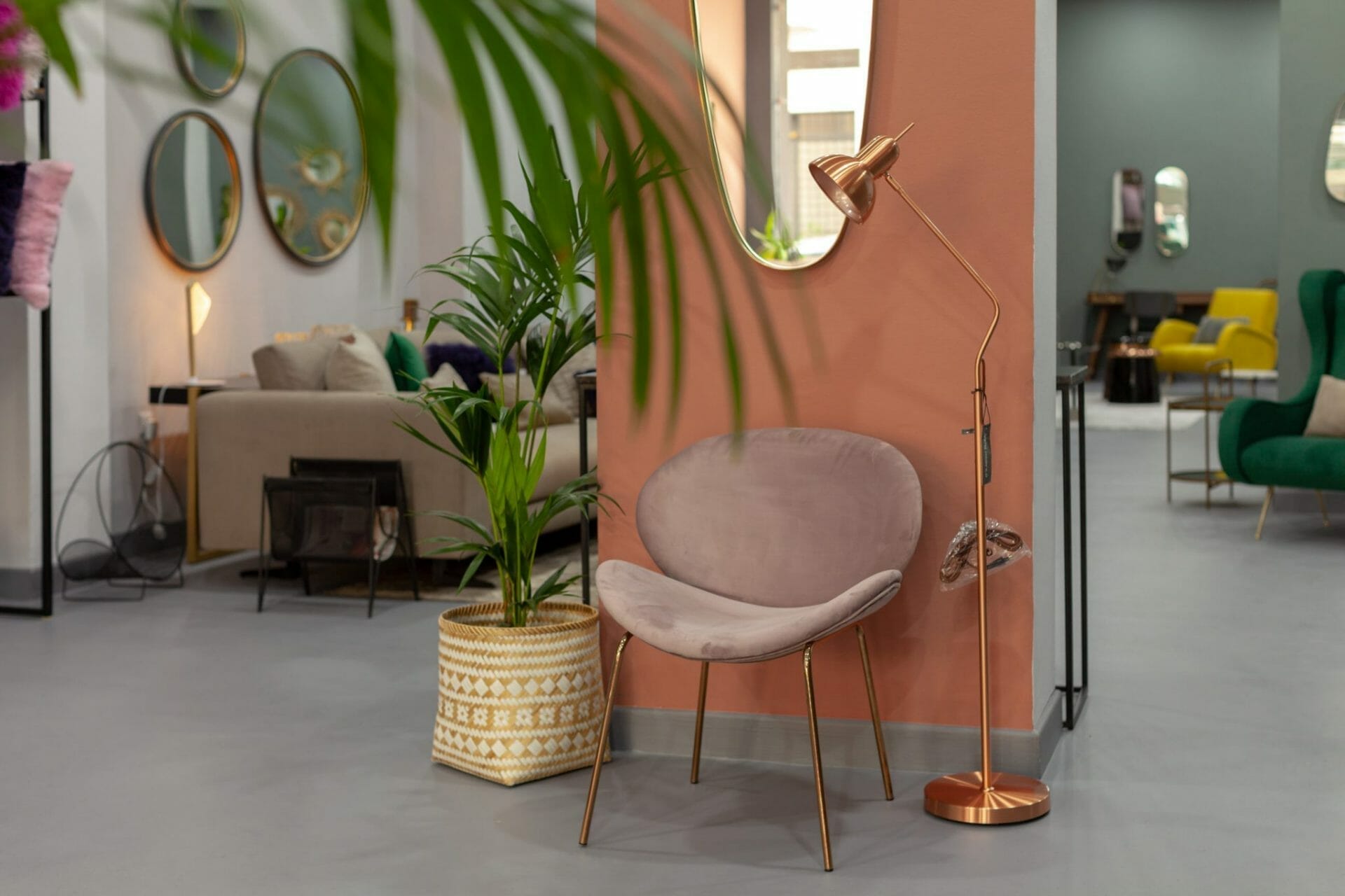Une pièce remplie de meubles et de plantes.