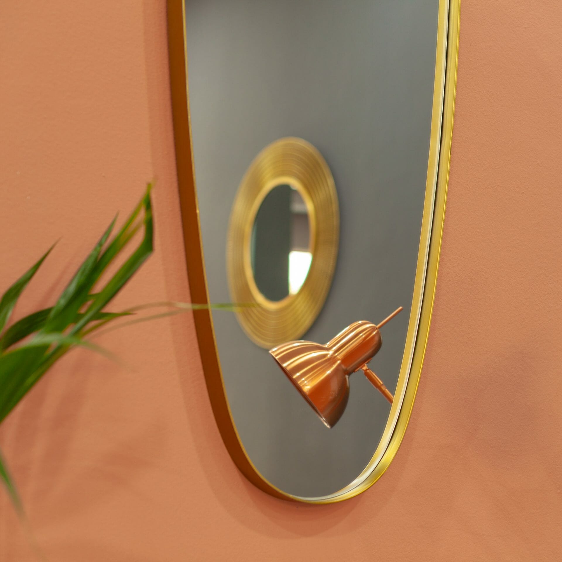 Un miroir sur un mur avec une plante dessus.
