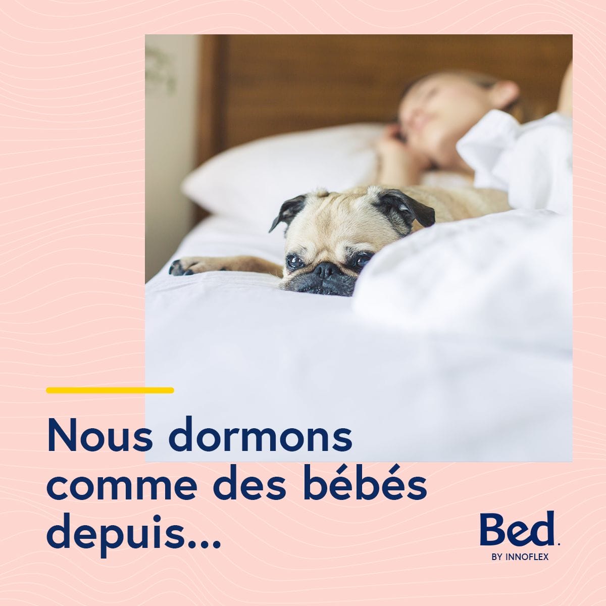 Une femme dort dans son lit avec un carlin.